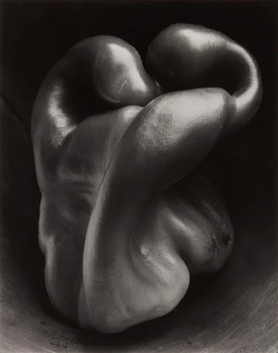 edwardweston-Pepper_No._30.jpg