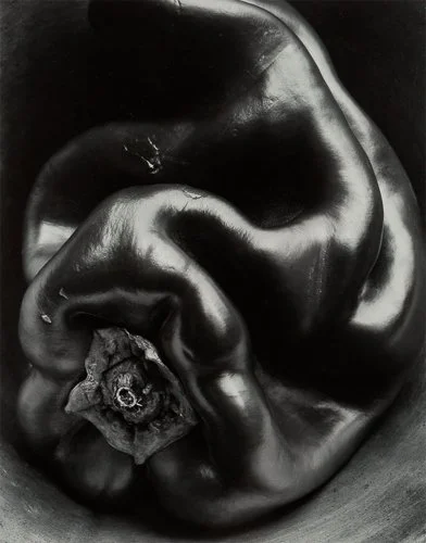 edwardweston-weston-pepper-no.-35.jpg
