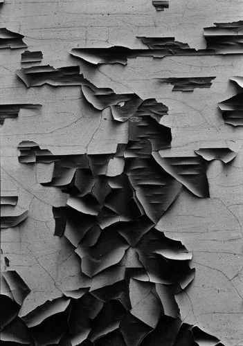 aaronsiskind-W1siZiIsIjE3MTk1NyJdLFsicCIsImNvbnZlcnQiLCItcXVhbGl0eSA5MCAtcmVzaXplIDIwMDB4MjAwMFx1MDAzZSJdXQ.jpg