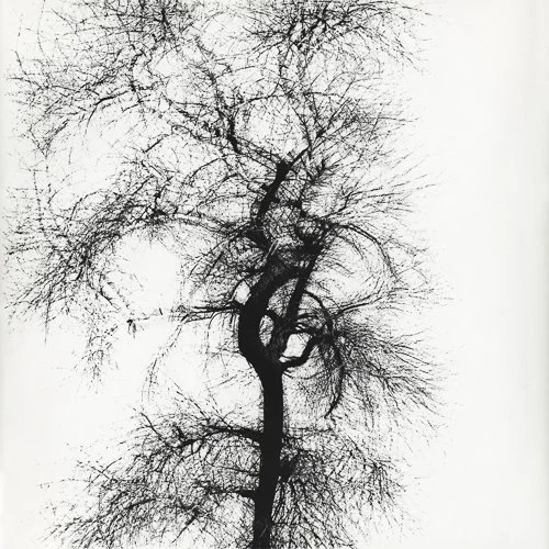 harrycallahan-106586.02_CALLAHAN_v01.width-2000.jpg