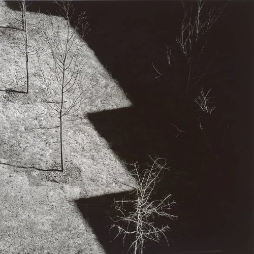 harrycallahan-3354-084.jpg