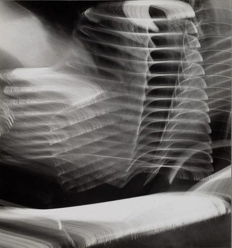 harrycallahan-privateimages24455e24455edf-ef50-4685-b9af-2302747dea65__900.jpg
