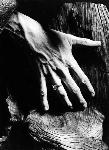 minorwhite-04.-Minor-WHITE-Dr.-Robert-Wadsworth-Rochester.jpg