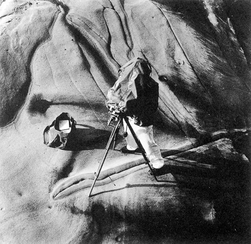 minorwhite-2.jpg