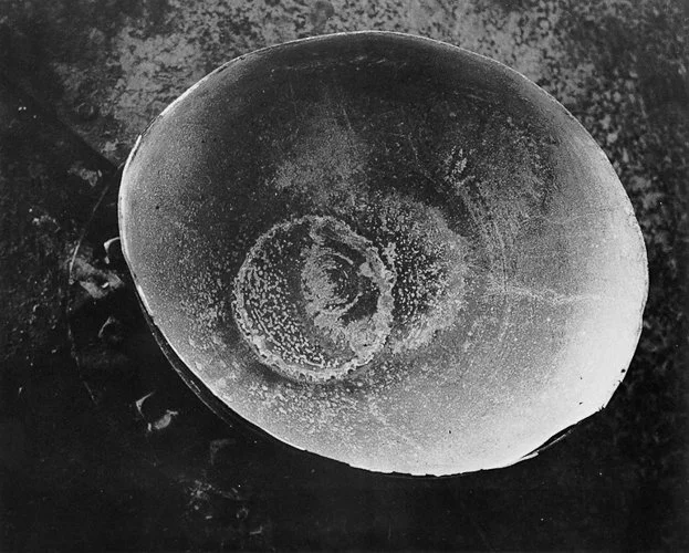 minorwhite-10.jpg