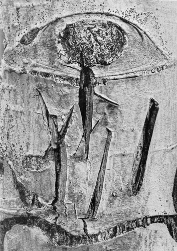 minorwhite-12.jpg