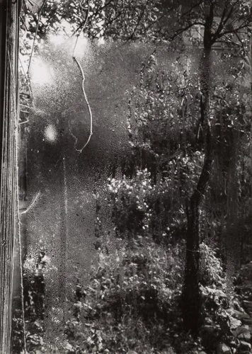 josefsudek-Sudek-82-36_o3.jpg