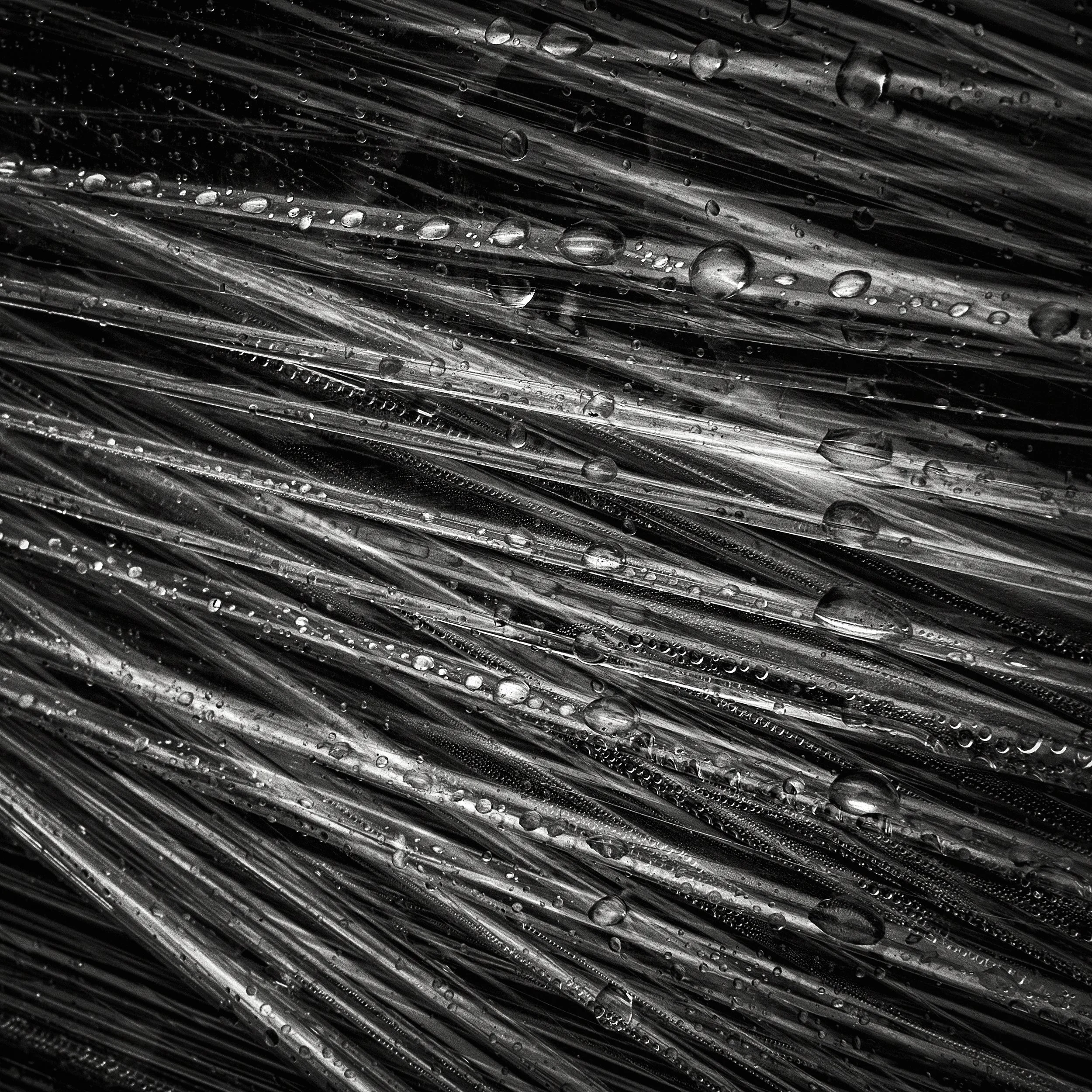Abstract Photography