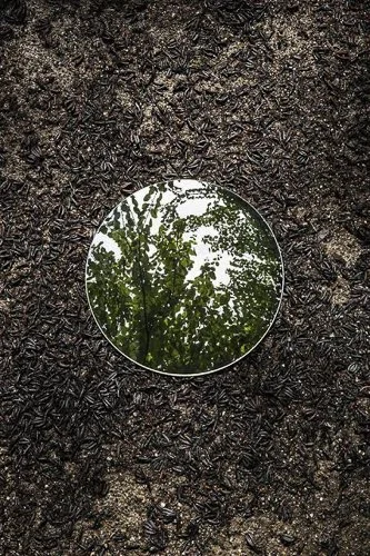 sebastianmagnani-2-images.jpg