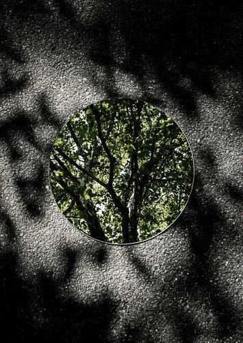 sebastianmagnani-PL_Project_Reflections_35.jpg
