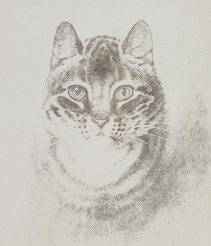 williamhenryfoxtalbot-cat-calotype-default.jpg