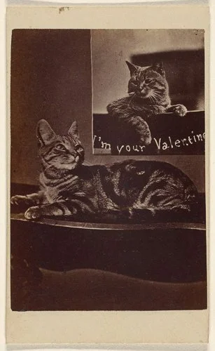 harrypointer-im-your-valentine-0ca87d-1024.jpg