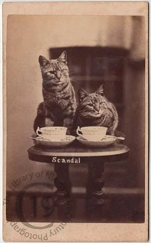 harrypointer-scandal-unnamed.jpg