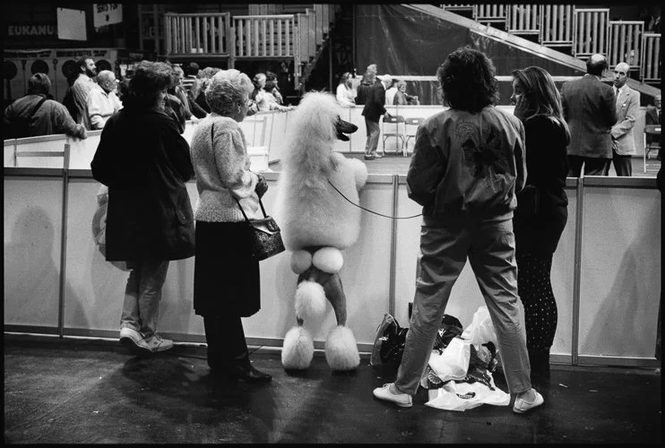 elliotterwitt-par84067-overlay.jpg