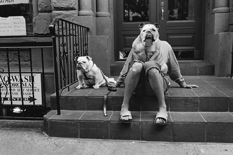elliotterwitt-al-ee042-image-crop.jpg
