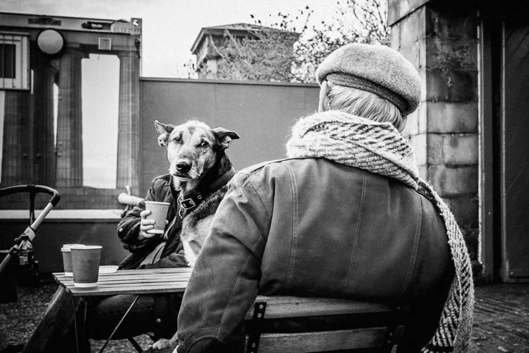 elliotterwitt-69d233b7919ba2221bc0fb7e56657848.jpg