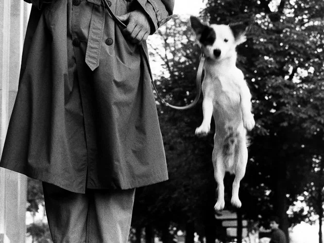 elliotterwitt-4867.jpg