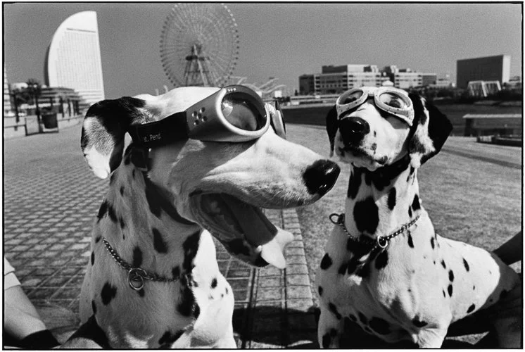 elliotterwitt-EELL110-JAPAN.-Yokohama.-2003.-NYC84004.jpg