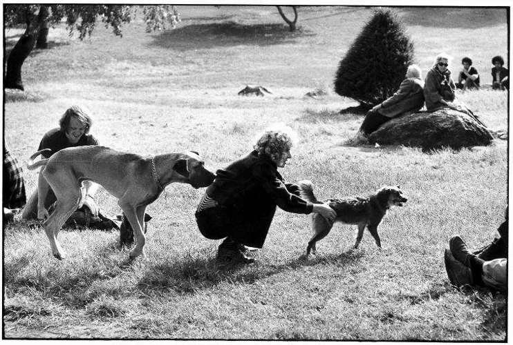 elliotterwitt-8131190_orig.jpg