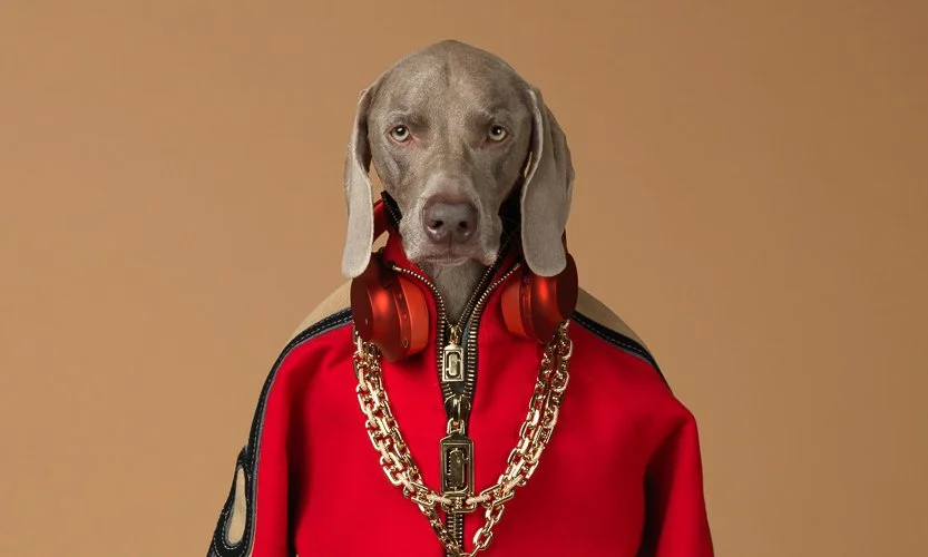 williamwegman-B1CADD8DC5EC0414E8C373E3964C1B3F.jpg