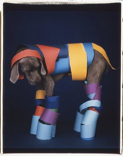 williamwegman-Strippy-2001-Color-Polaroid-24-x-20-inches.jpg