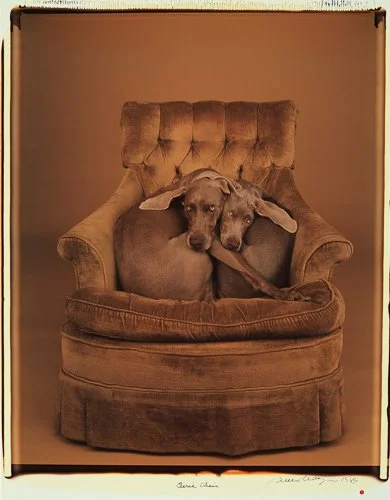 williamwegman-Eerie-Chair-1989-Color-Polaroid-24-x-20-inches.jpg
