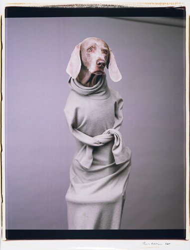 williamwegman-William_Wegman_SW%2017198%20Twisted%20Hope.jpg