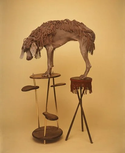 williamwegman-Kit-1991-Color-Polaroid-24-x-20-inches.jpg