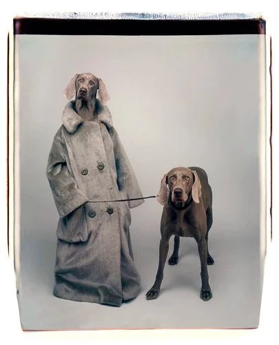 williamwegman-35662_dog-walker_1990.jpg