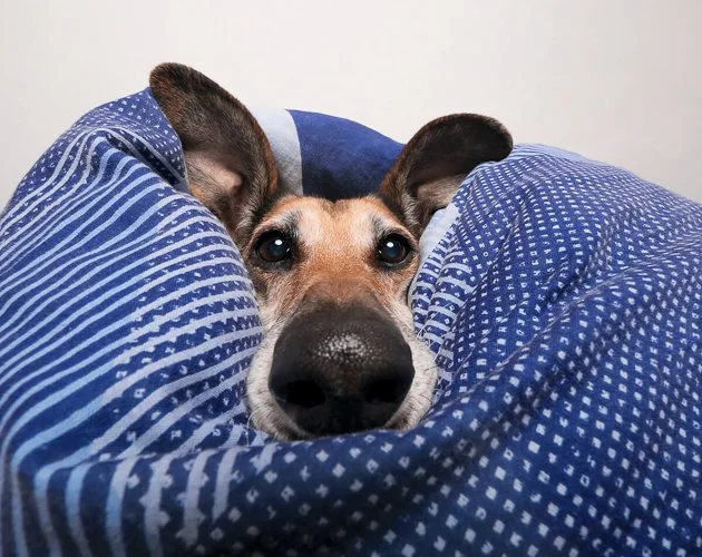 elkevogelsang-PHOT-elke-vogelsang-20.jpg