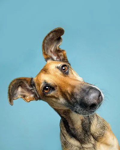 elkevogelsang-stacks-image-bee12ee-960x1200.jpg