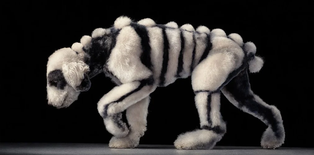 timflach-Skeleton-3000x1484.jpg