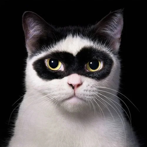 timflach-Boy-600x600.jpg
