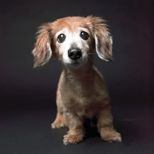 amandajones-5fa16e8bcafa5.image.jpg