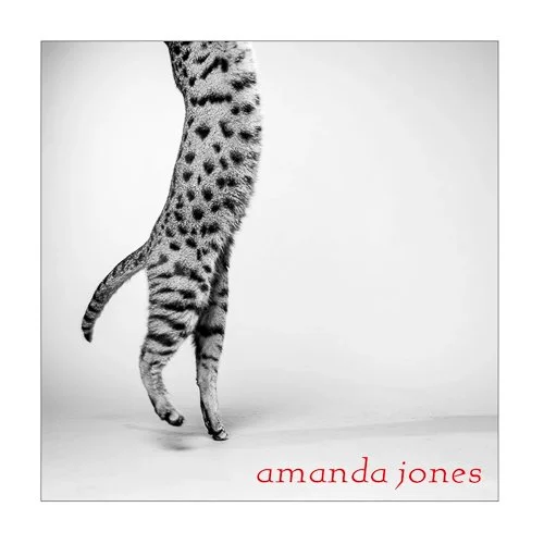 amandajones-kitty19_wsq8jy.jpg