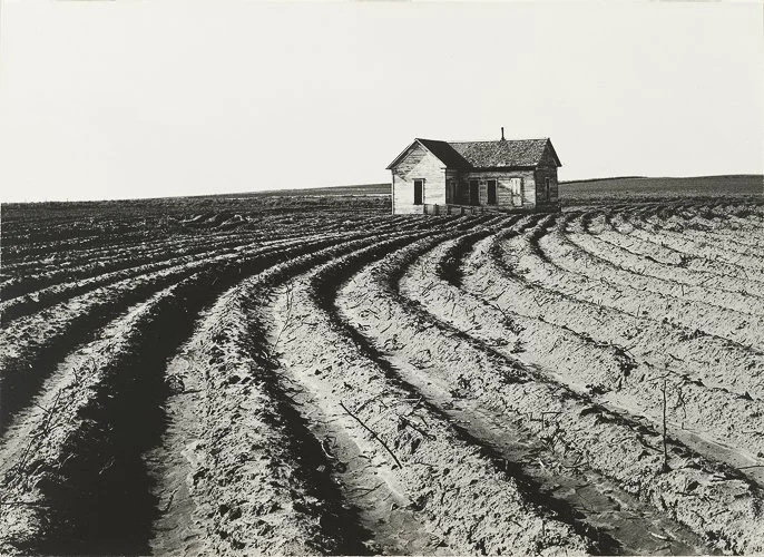 dorothealange-1938_Lange_Tractored-Out.jpg