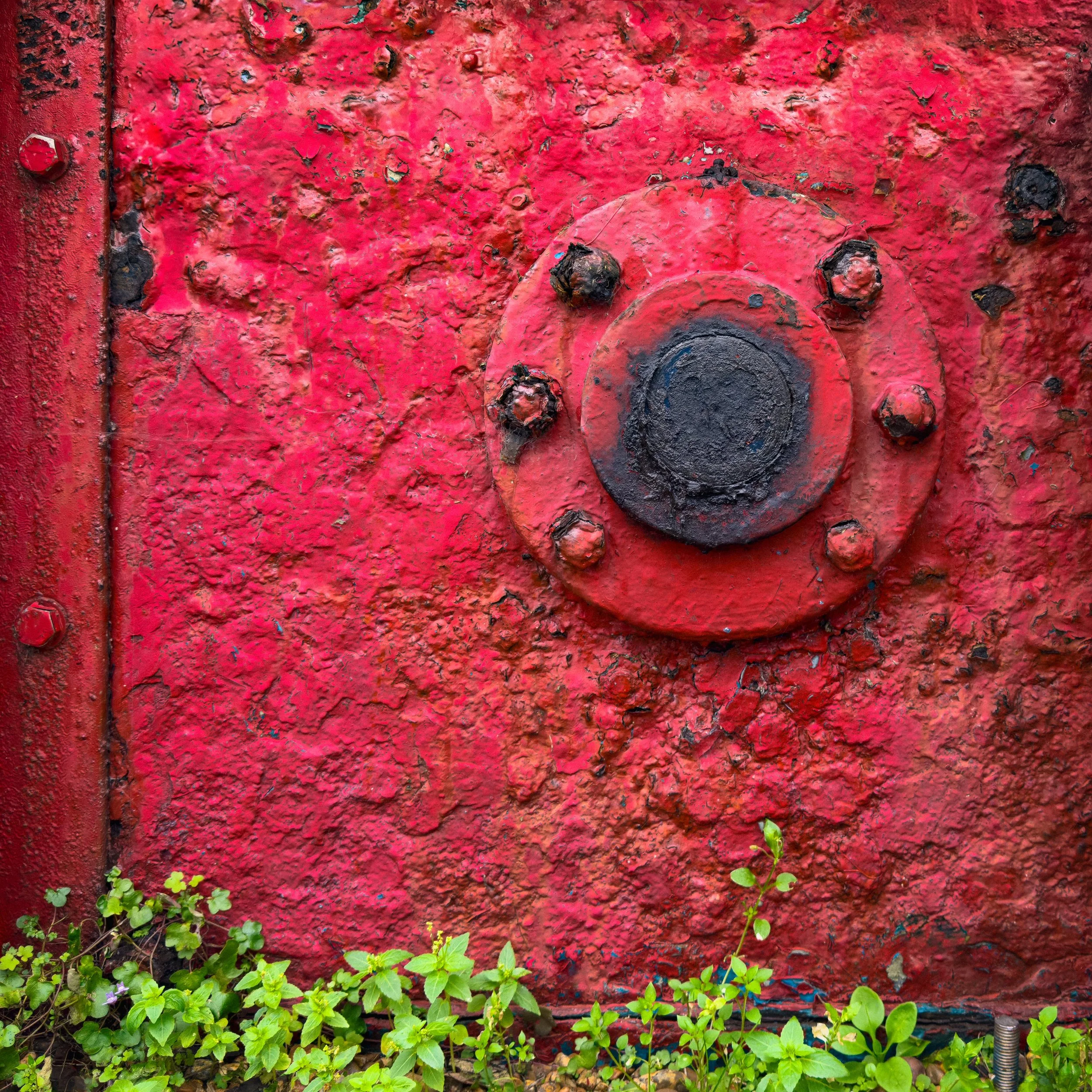 IMG_3145-Edit-Edit-2-Edit-Edit.jpg
