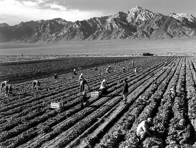 anseladams-Ansel_Adams_-_Farm_farm_workers_Mt._Williamson_in_background_Manzanar_Relocation_Center_California.jpg