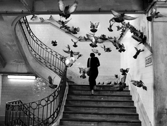 henricartierbresson-Cartier-Bresson.jpg