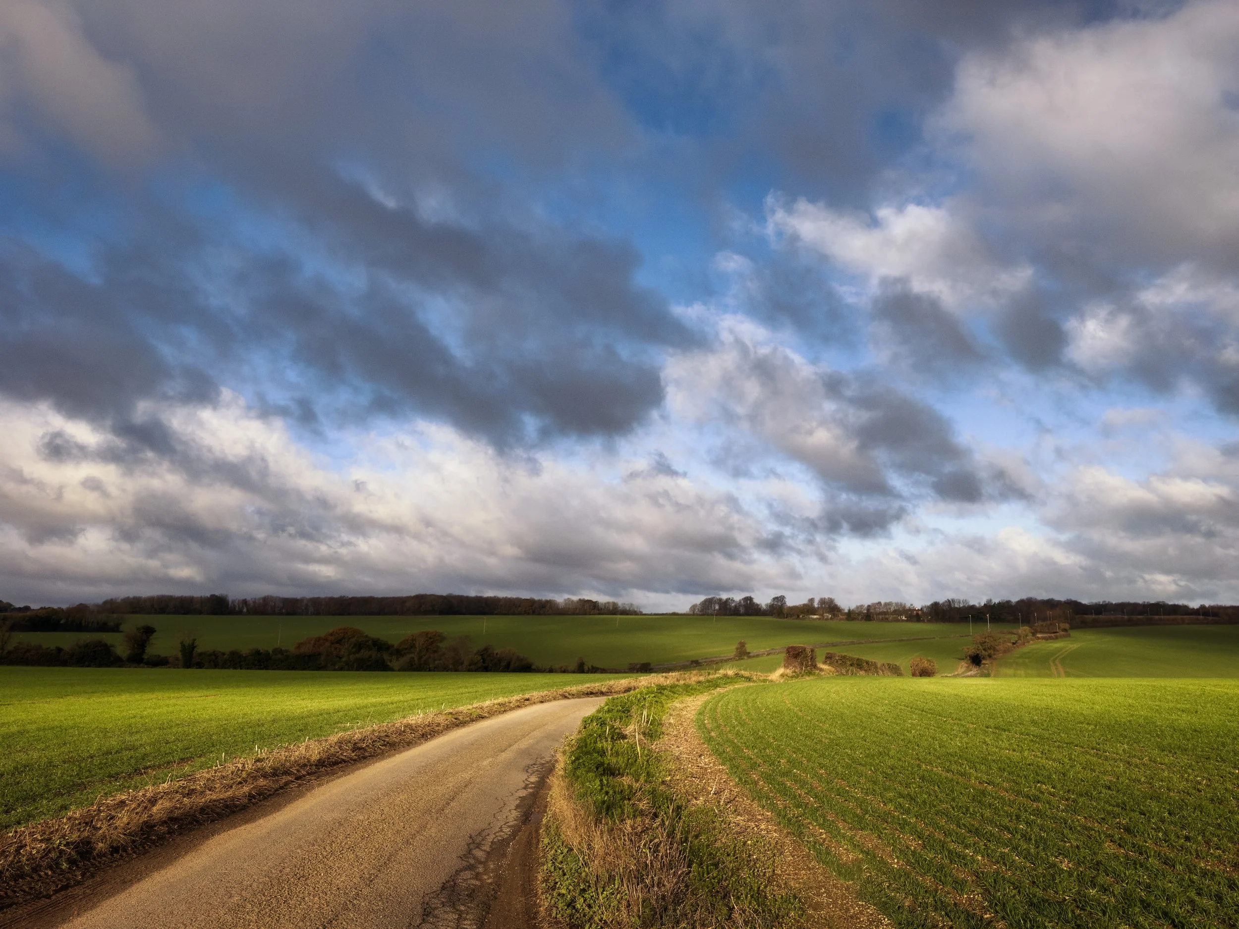 IMG_1176-Edit-Edit-Edit.jpg