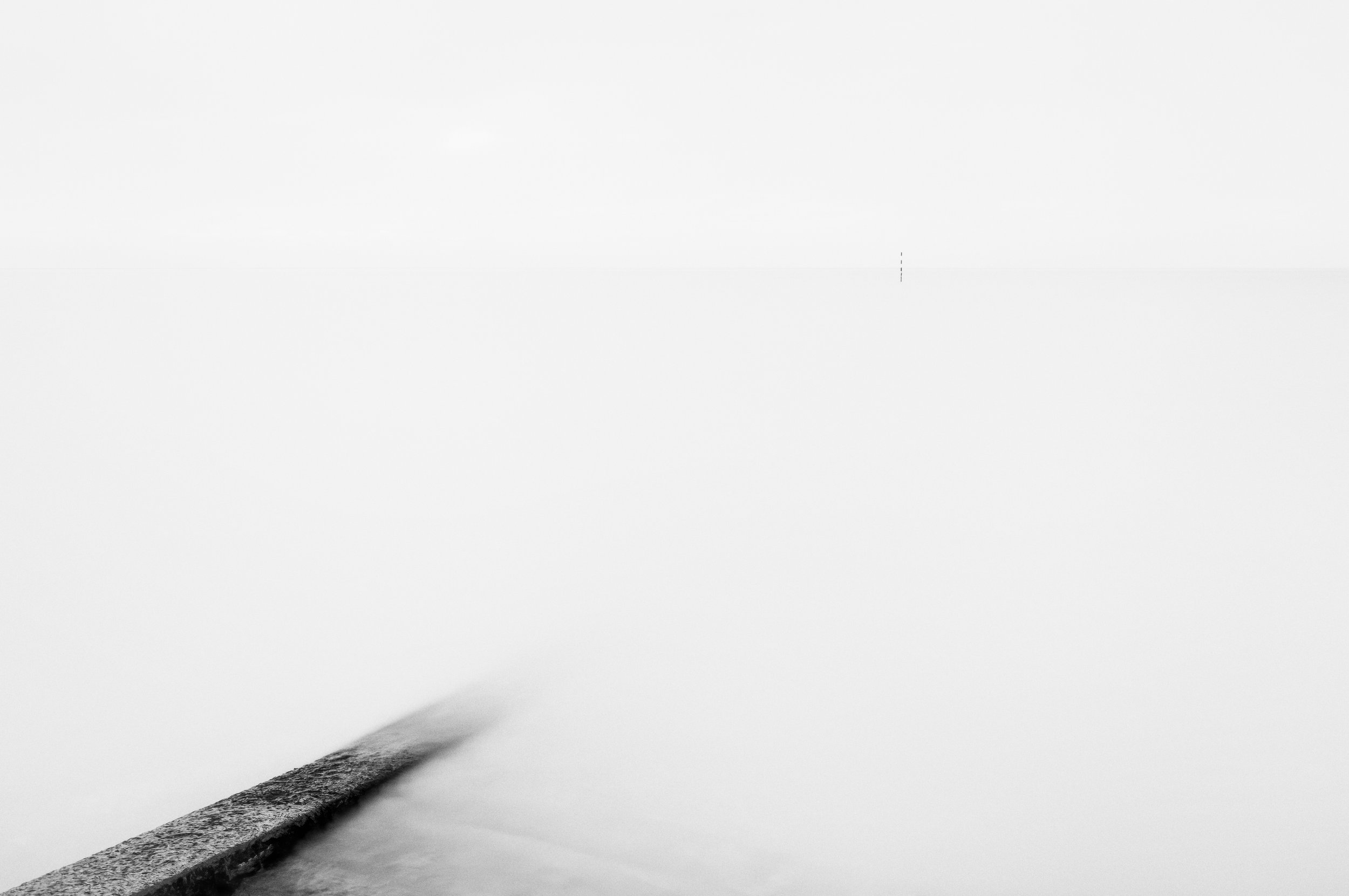 _DSF2021-Edit-2-Edit-Edit-Edit.jpg