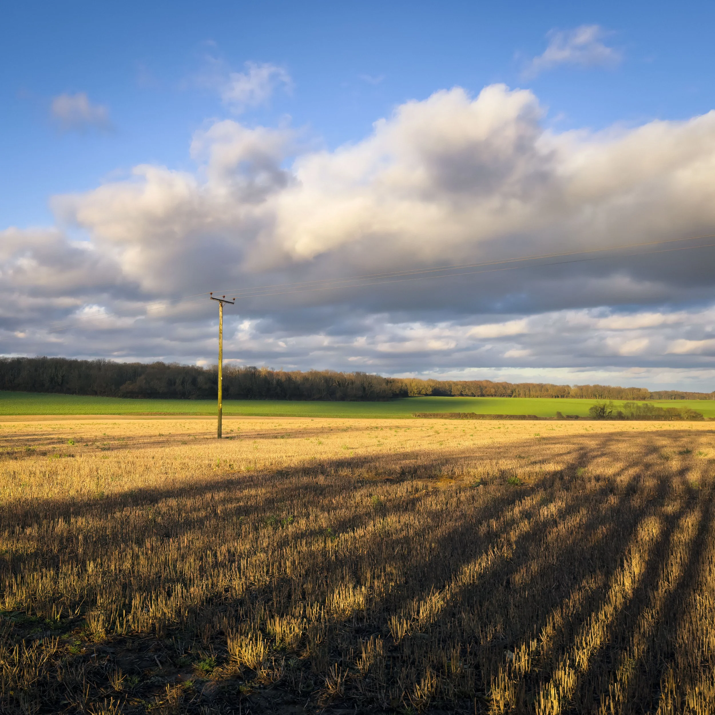 IMG_4902-Edit-Edit-Edit.jpg