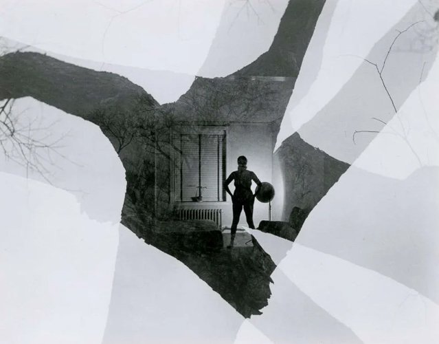 harrycallahan-eleanor-download.jpg