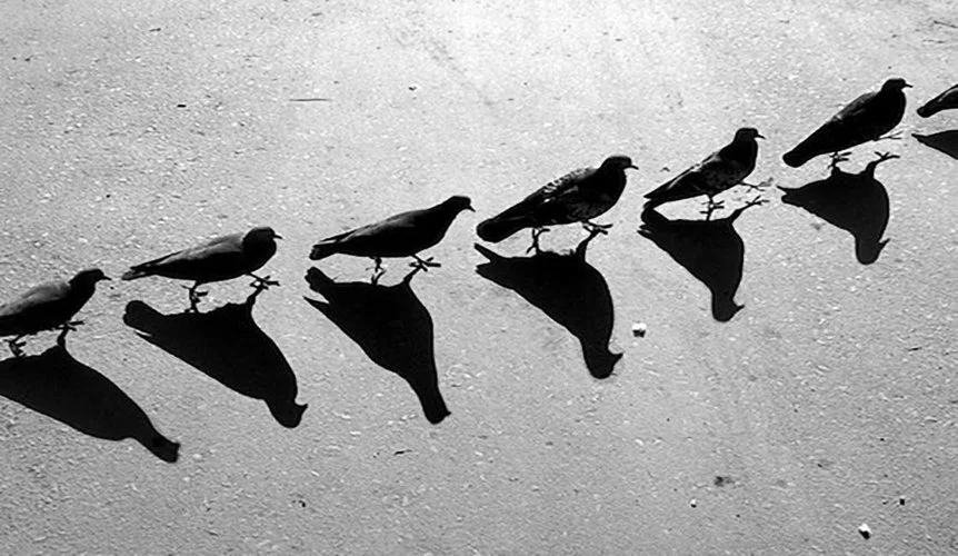 andrekertesz-André-Kertesz-1.jpg