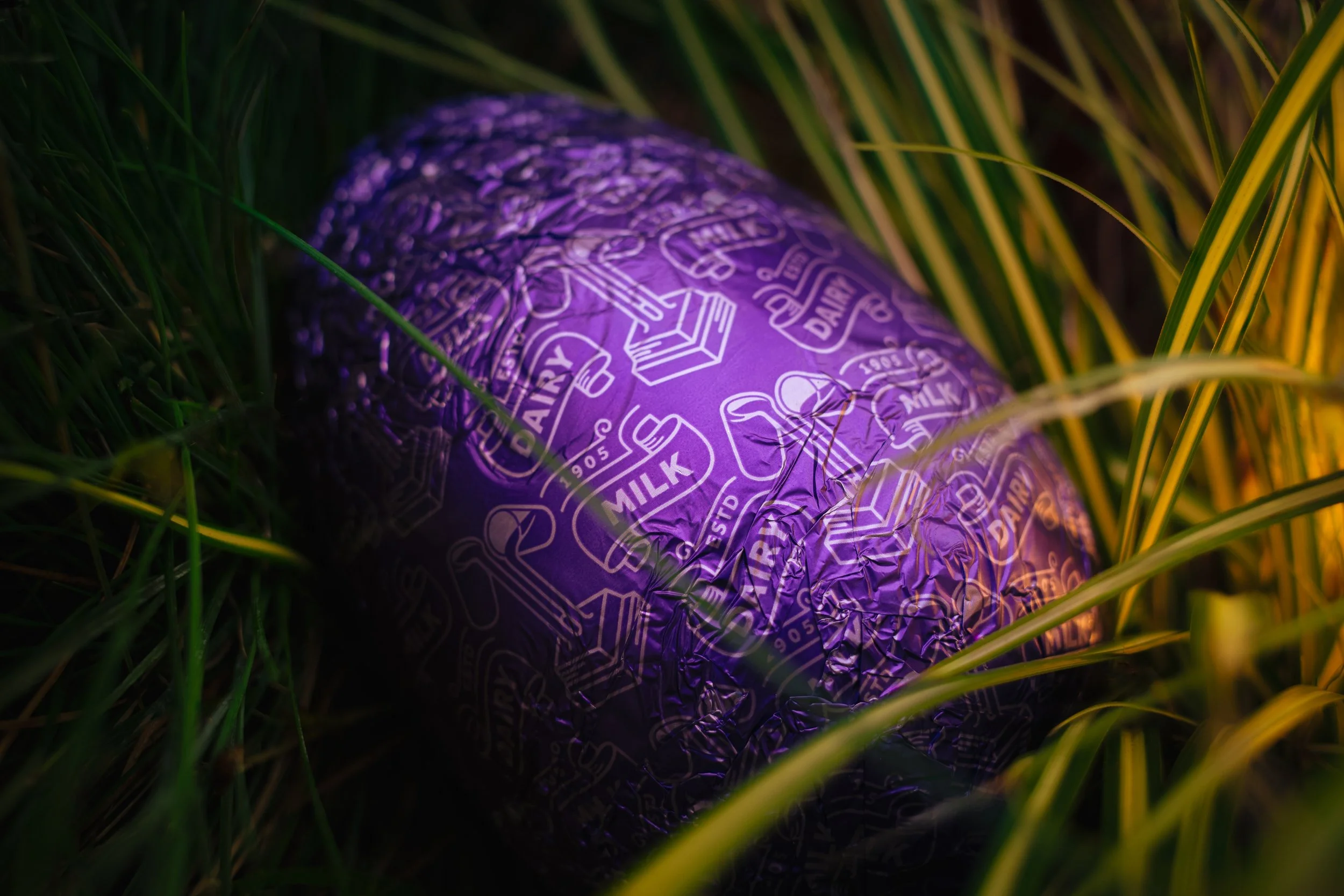 R0000112-Edit-Edit.jpg