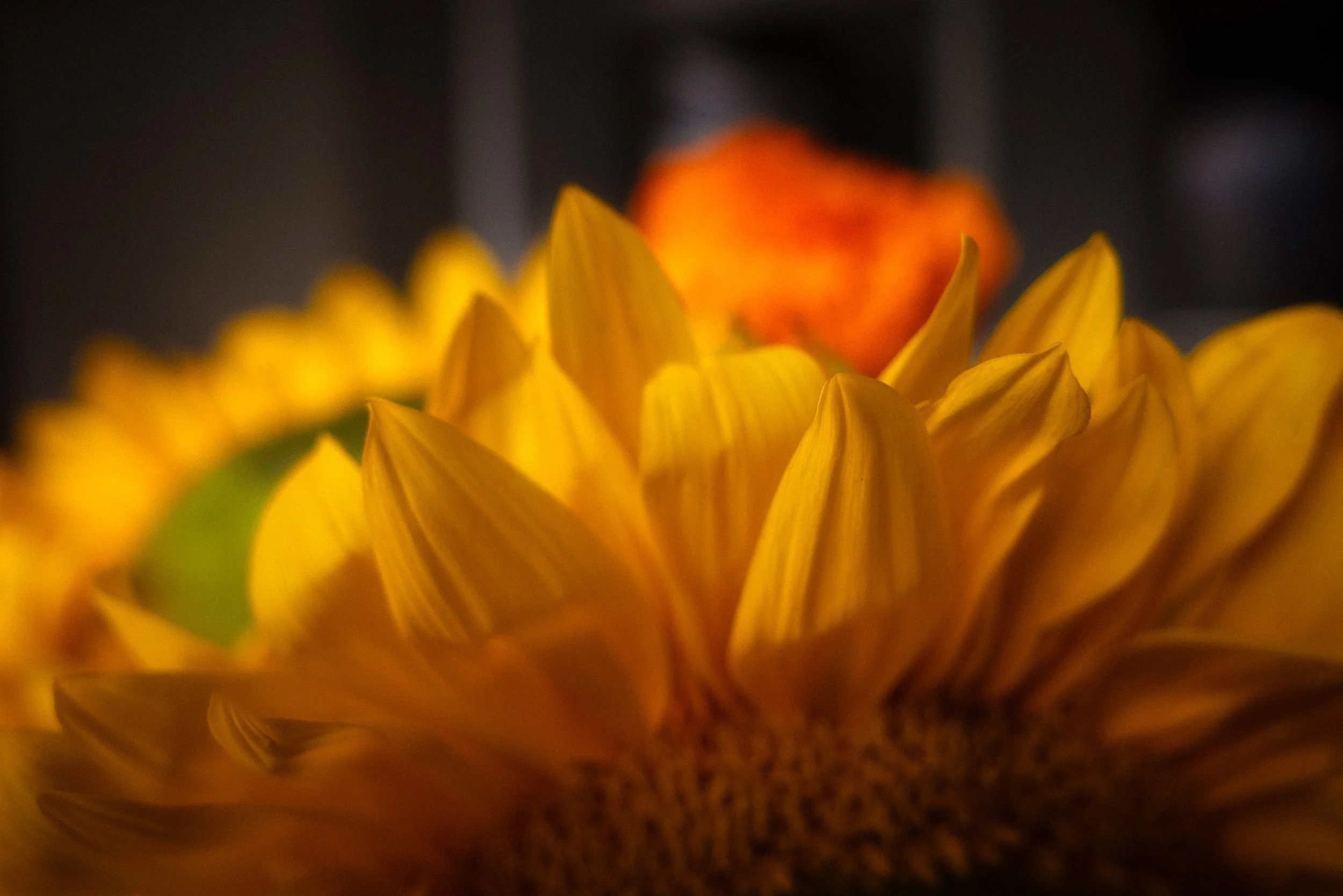 R0001125-Edit-Edit.jpg