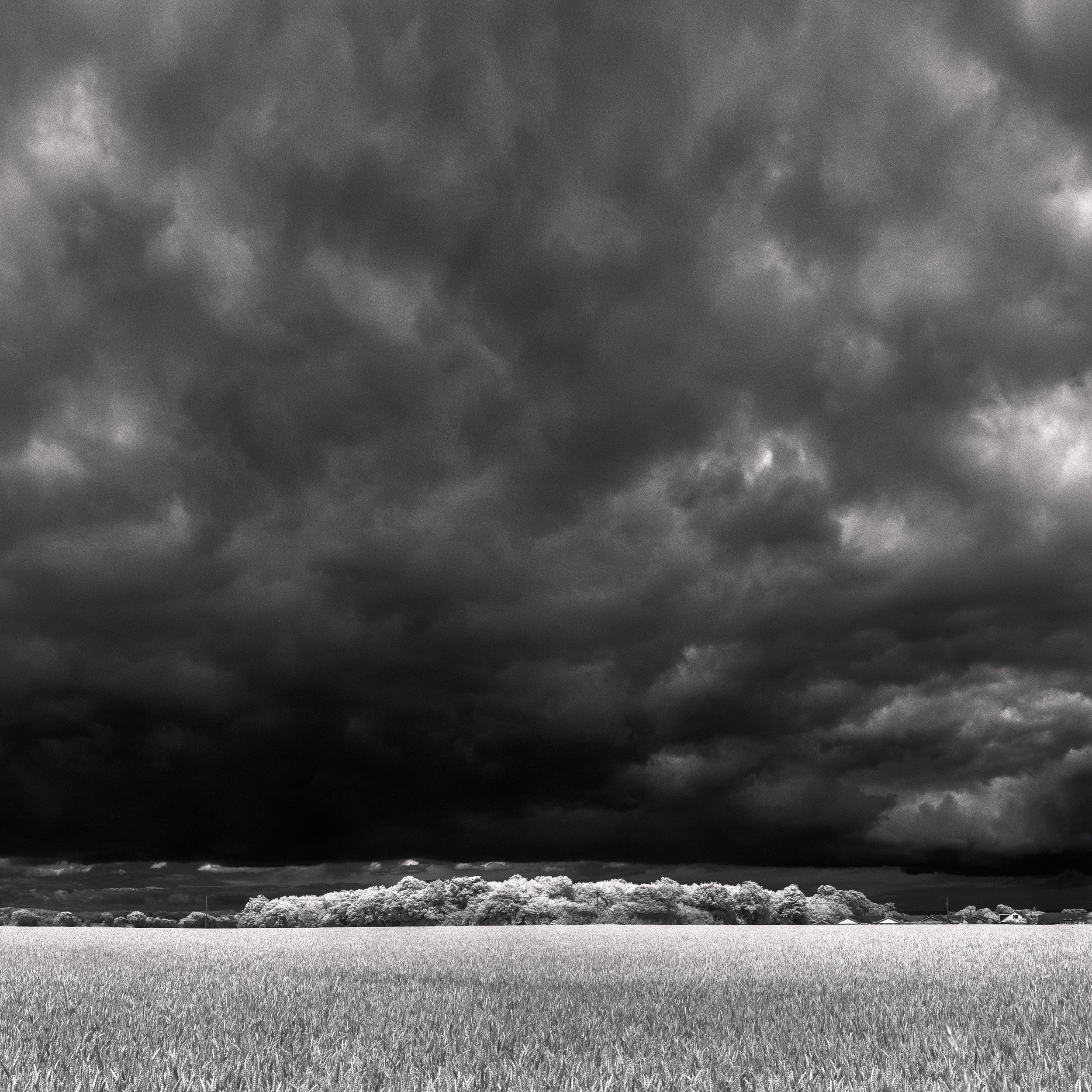 DSCF5431-Pano-Edit-Edit-Edit.jpg