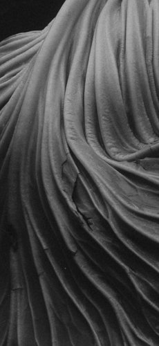 edwardweston-f80fba4965a7c2bdecc4f3034d75424ee7db8420-750x1632.jpg