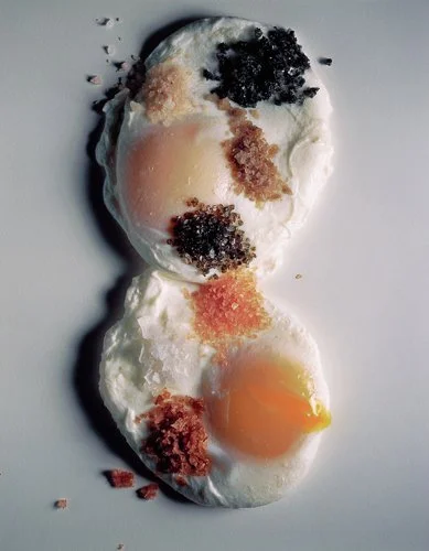 irvingpenn-poached_eggs_and_salts_new_york_2001.jpg