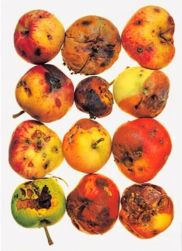irvingpenn-270802.jpg